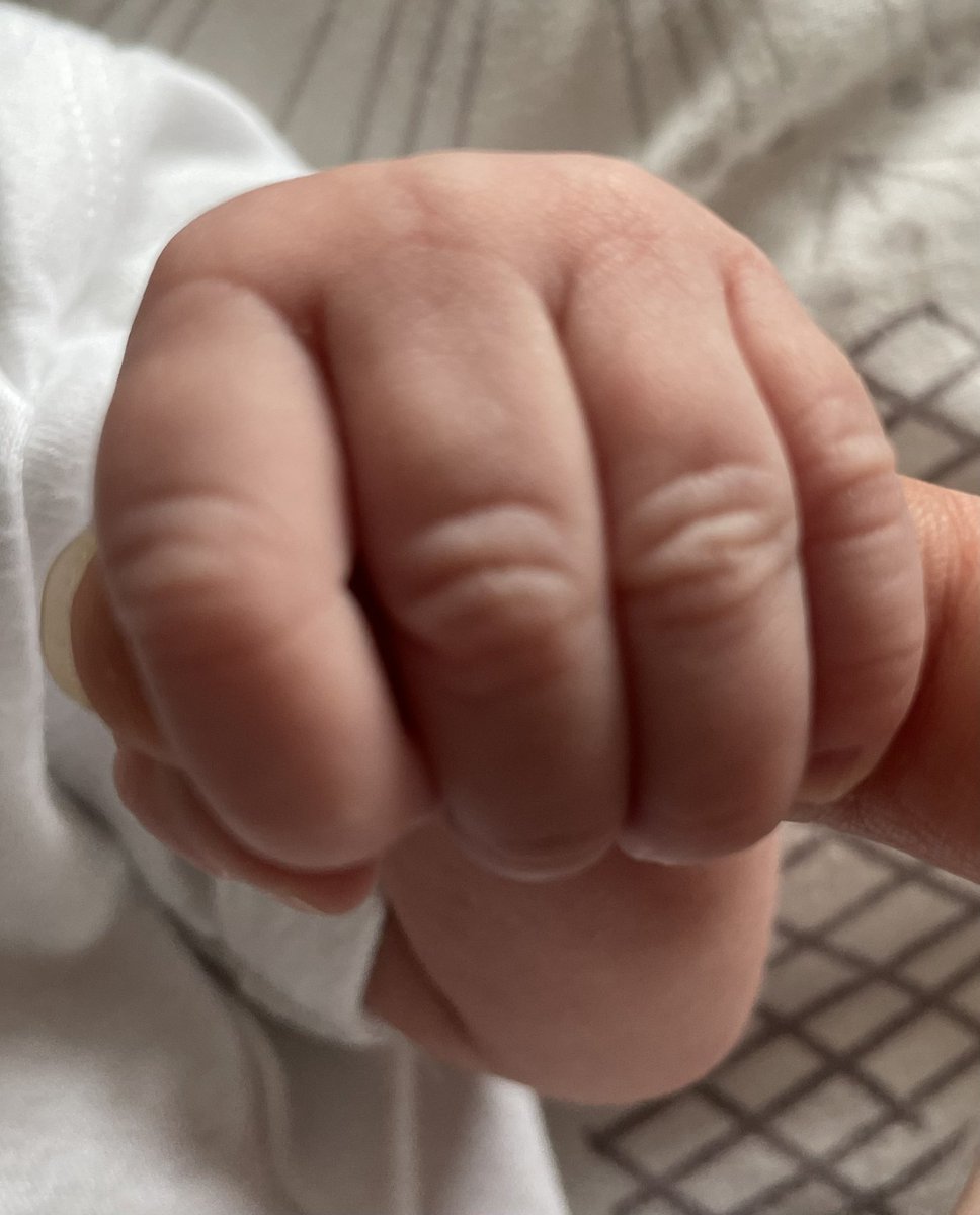 Kelly Mackintosh tweet media