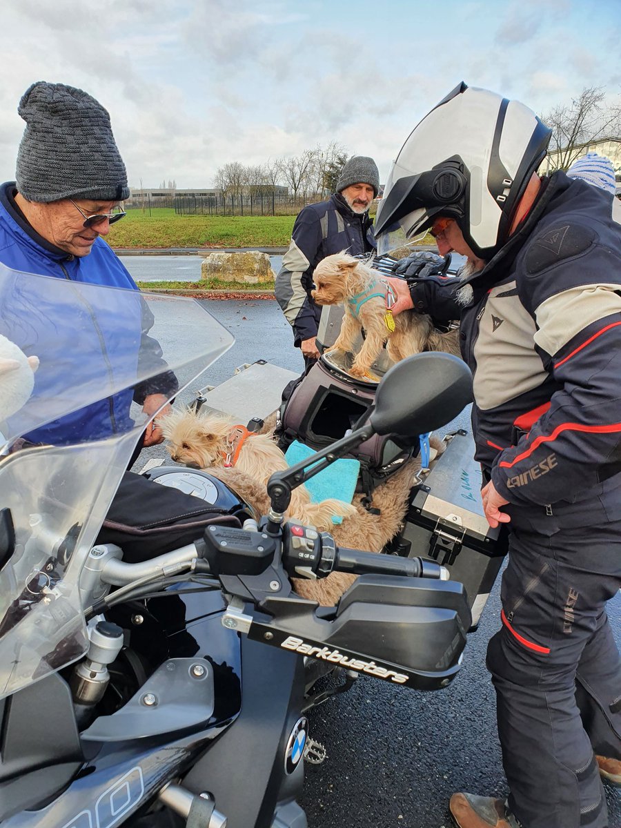 Philipmog1's tweet photo. We have dogs on motorbike! #FFMC19 #relaiscalmos https://t.co/WZPiUc8hC7