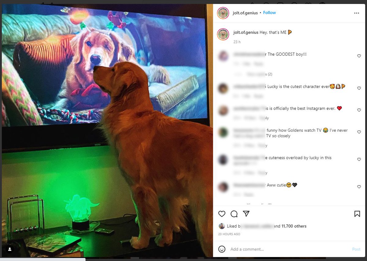 นักแสดงนำของซีรี่ส์ #Hawkeye ดูภูมิใจในการแสดงของตัวเองมากๆ
instagram.com/p/CXOfwLDFhNQ/