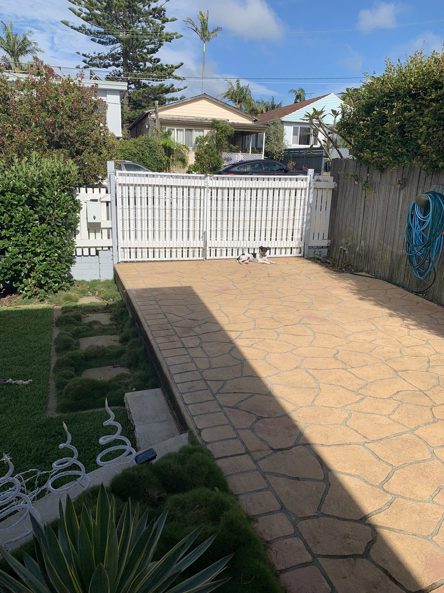 Laura Holliday tweet media