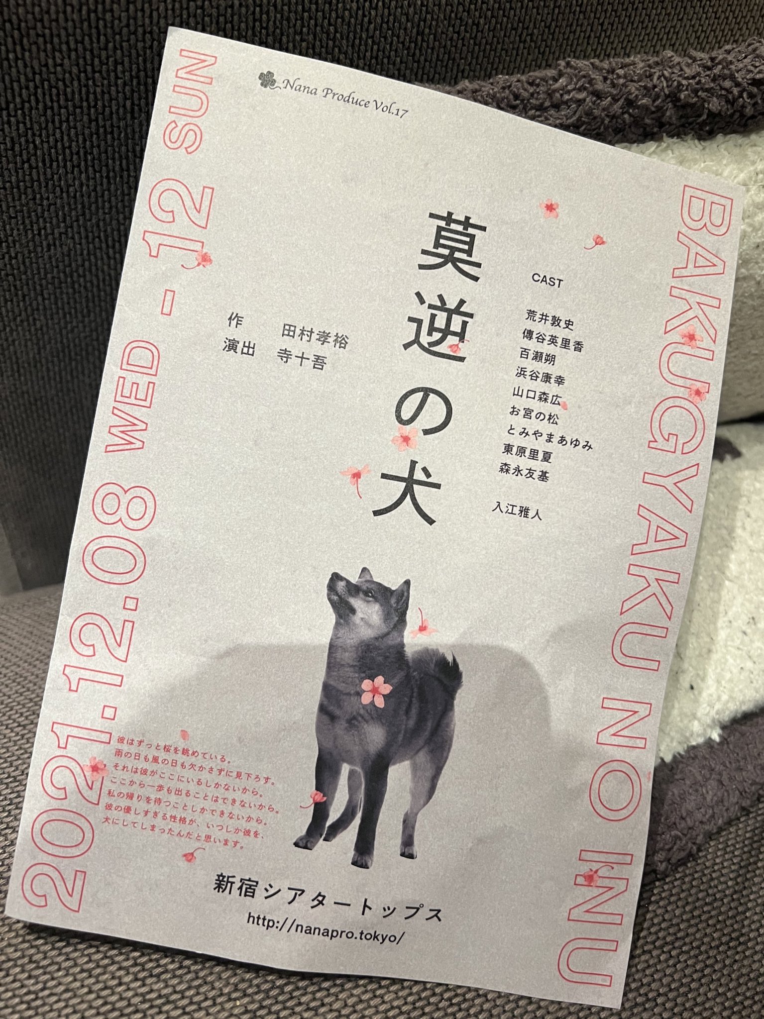 宮﨑香蓮 Karen Miyazaki 莫逆の犬 観劇 苦しい胸が苦しい でも好きな作品だ 彼女が放つ言葉と 彼から流れ落ちる言葉と その姿が忘れられない しばらくナイフが 心に刺さったままだ 崩れ落ちていく そして大親友しげちの芝居も 相変わらずだいすきでした