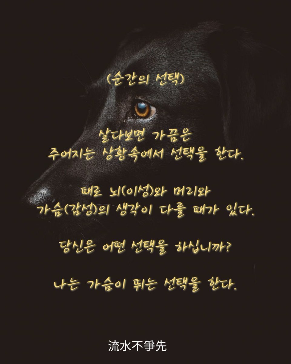 Kim Min (@kimmin15123393) on Twitter photo 