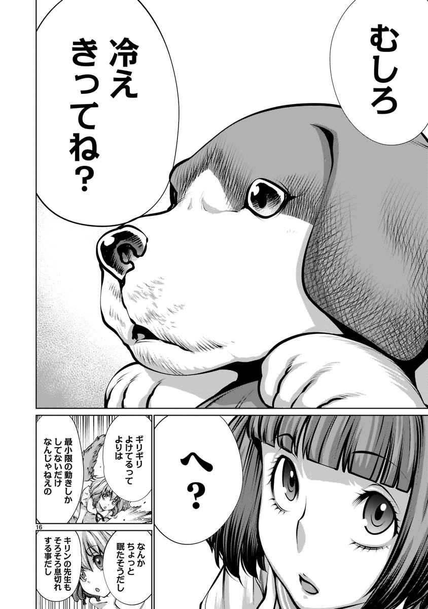 【🦒🦒更新情報🦖🦖】   可憐な少女であるディノニクス・暦を襲うのはキリンの獣闘士・井川の巨躯から繰り出される無慈悲な踏破だった! 見守る事しかできない純は…?  『#キリングバイツ』第93話、公開中‼️  ➡️https://bit.ly/3lRN5kF  コミックス第18巻も好評発売中!  ➡️