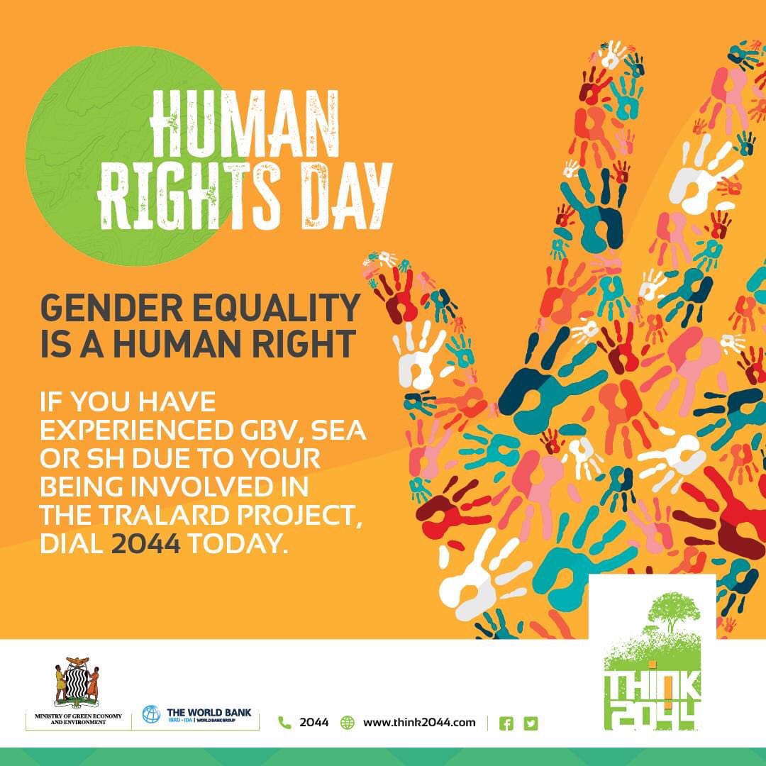 nambeya_chama's tweet photo. Today is Human Rights Day and the final day of 16 days of activism against Gender Based Violence #GBV. Gender equality is a key human right even in the woke of #ClimateChange #ClimateActionNow #ClimateCrisis #Resilience #Adaptation #TRALARD #MGEE #NPCU #Think2044 https://t.co/K9Y606DdPI