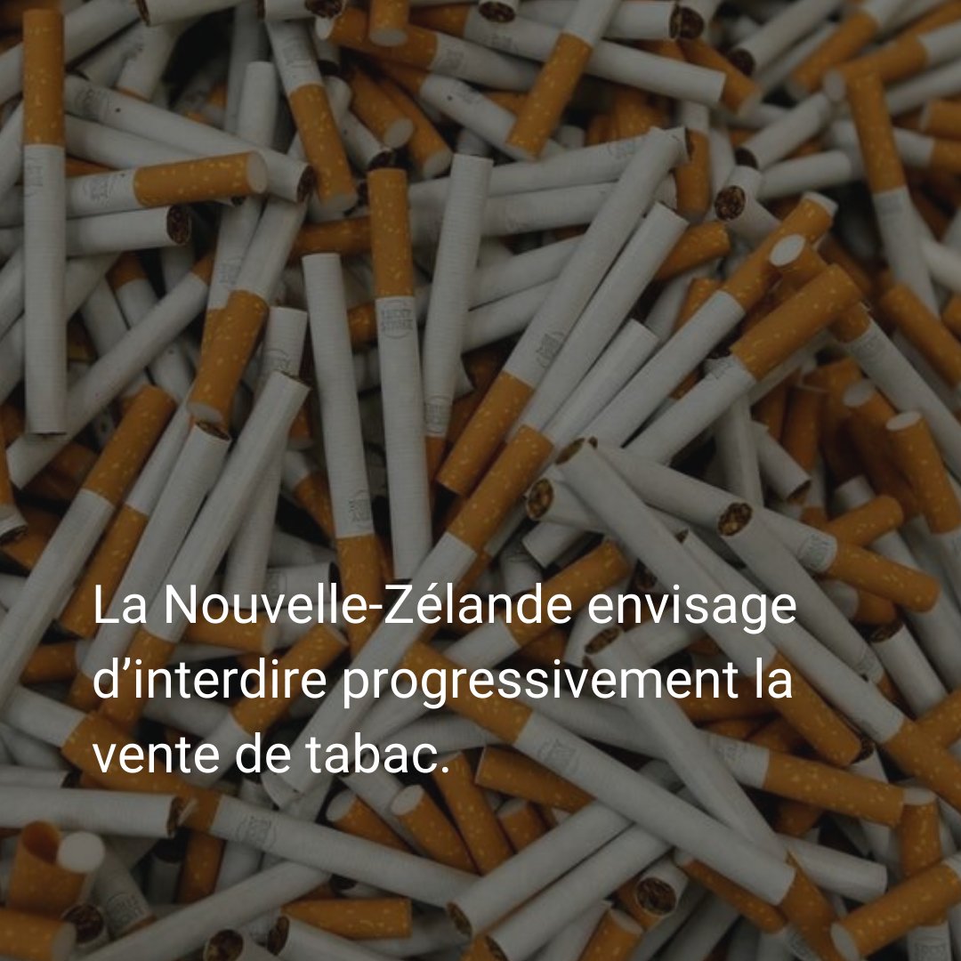 Les infos de la semaine ! ℹ
#chancelier #OlafScholtz #jo2022 #etatsunis #nouvellezelande #ouïghours #boycott