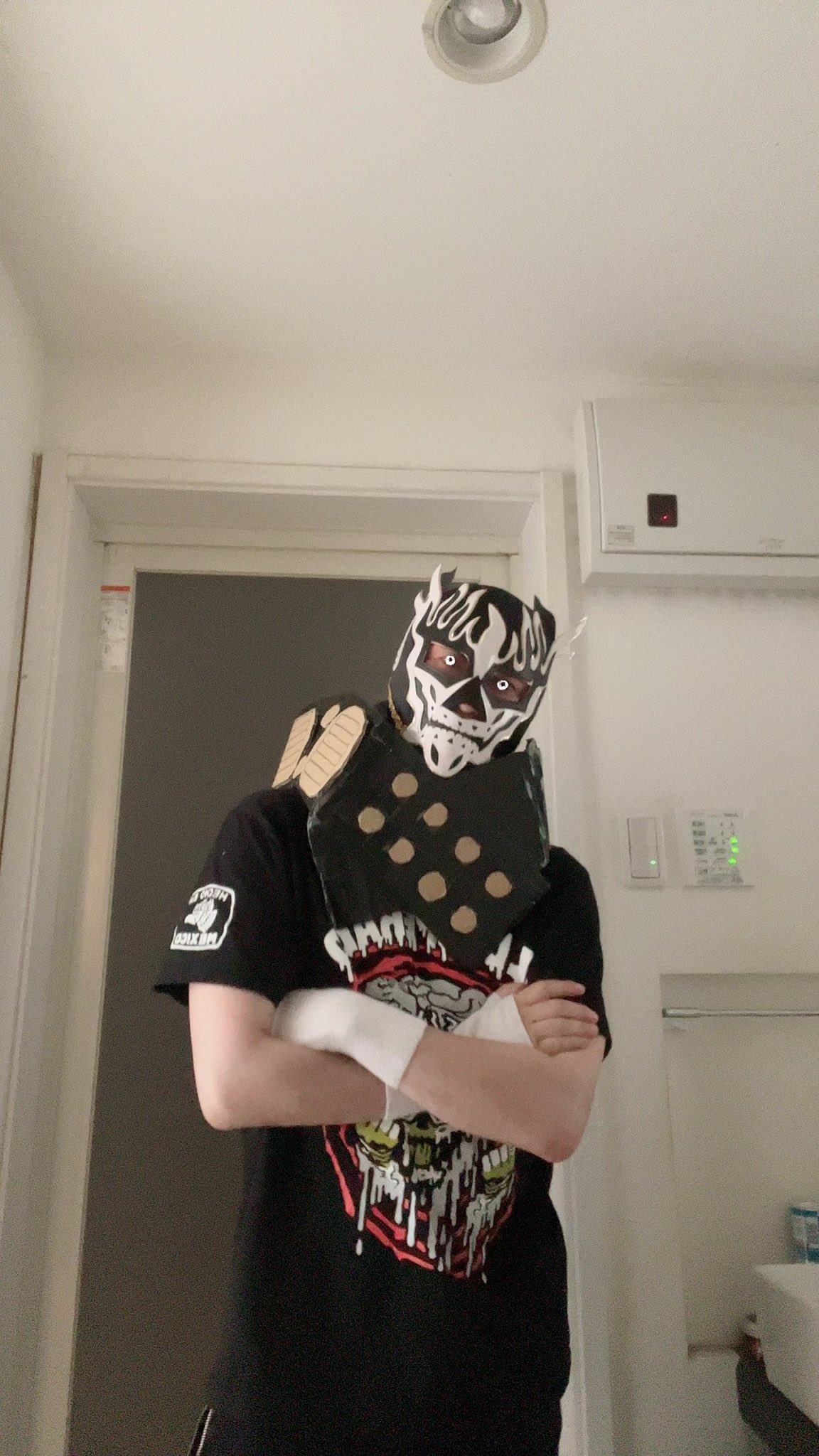 新日本プロレス エル・デスペラード選手☆応援マスク - スポーツ選手 新日本プロレス エル・デスペラード選手☆応援マスク - スポーツ選手