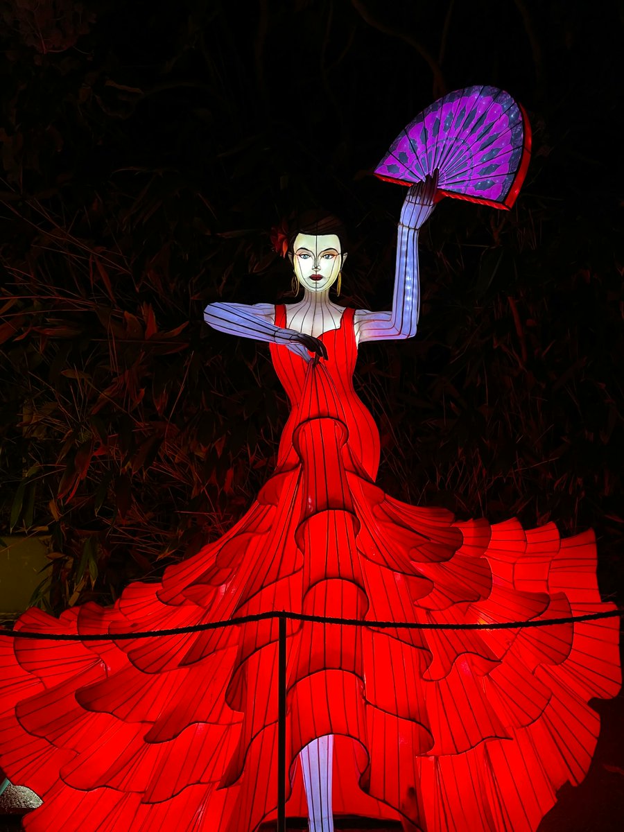 heydaystudent's tweet photo. TGIFF: Thank goodness it’s Fun Friday! To get you in the holiday spirit, and out of exam week stress, here are some fun picture’s from Dublin Zoo’s Wild Lights exhibits. This year’s theme was around the world 😍 We hope you enjoy! https://t.co/YViOLD2fcM