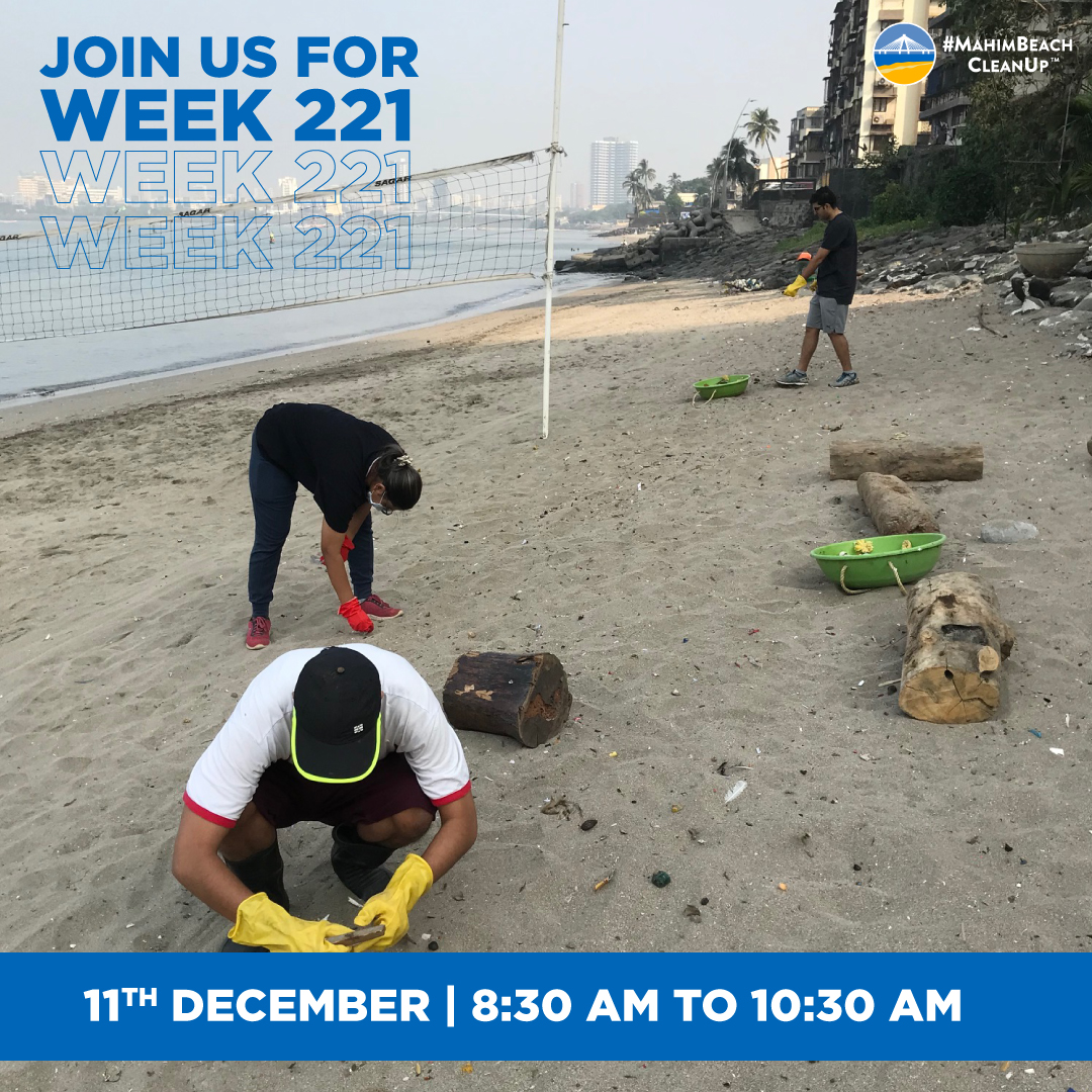 mahimbeach's tweet photo. Join us at the clean-up tomorrow and let’s make a difference, together!

Saturday, 11th December, from 8:30 am - 10:30 am.
Beach entry next to Al-Bahr CHS, Veer Sawarkar Marg, Mahim (W).

Please carry a pair of reusable gloves, water bottle and wear a mask. See you at the beach! https://t.co/71MSwI8hKZ