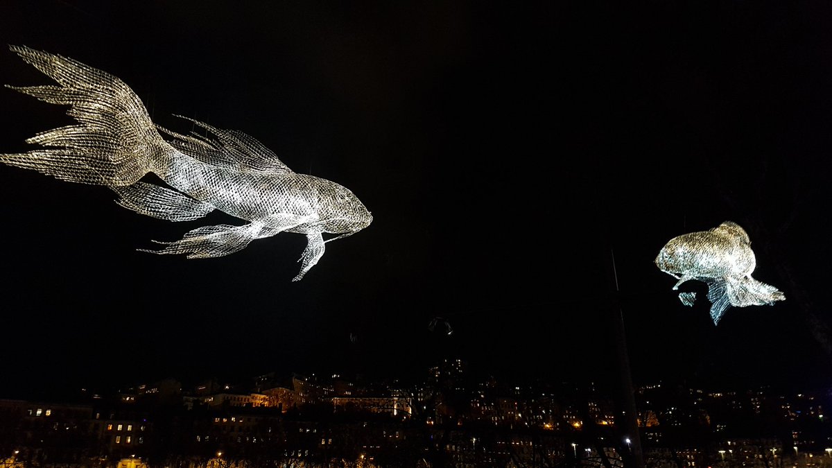 LUCIassociation's tweet photo. Great nights experiencing the #lightart of the @FeteLumieres 2021 #lightfestival @villedeLyon with participants of #LUCInetwork LyonLightFestivalForum #LLFF2021 ! https://t.co/ZVSVRbqSmv