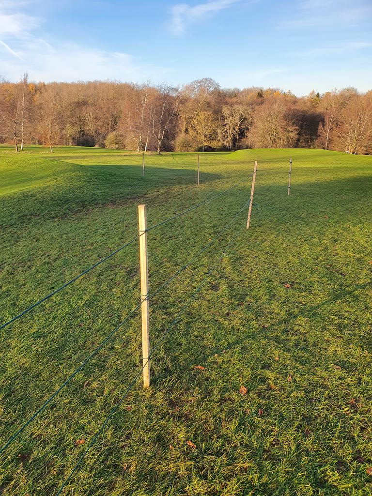 stokegreenstaff's tweet image. Post &amp;amp; ropes are now out at @StokeRochfordGC not to create an obstacle course but to control wear. Please follow the signs DO NOT WALK UNDER OR STEP OVER and DO NOT remove these posts, local rule gives relief. It's your course help protect  it 🙏.#thinkingofspring #greenkeeping