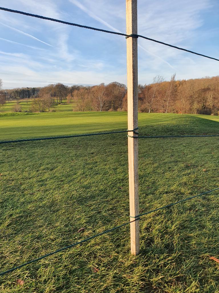 stokegreenstaff's tweet image. Post &amp;amp; ropes are now out at @StokeRochfordGC not to create an obstacle course but to control wear. Please follow the signs DO NOT WALK UNDER OR STEP OVER and DO NOT remove these posts, local rule gives relief. It's your course help protect  it 🙏.#thinkingofspring #greenkeeping