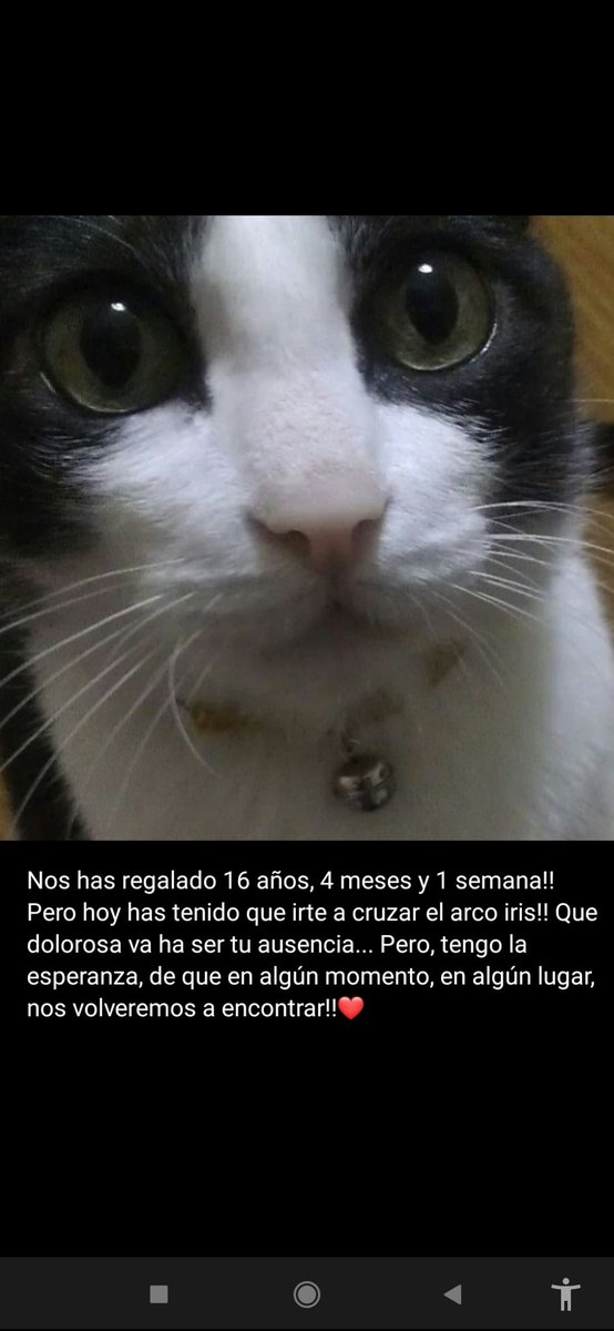 🅸︎🆄︎🆁︎🅴︎ tweet media