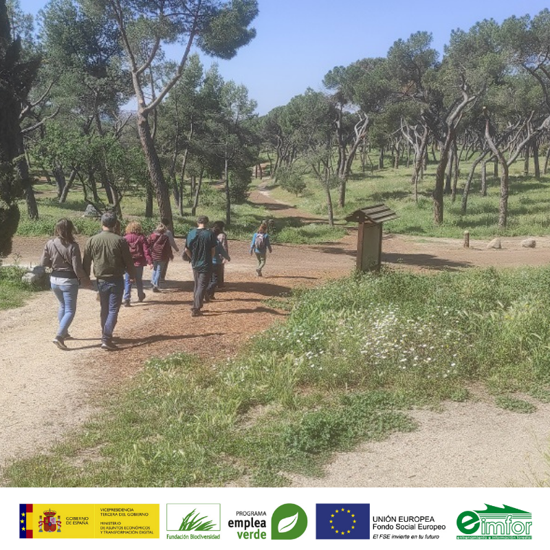 eimforsl's tweet photo. La conectividad ecológica en la cuenca del Tajo es un motor de #EmpleoVerde. Con este curso aprenderás: 🏞Educación ambiental 🌱Gestión y conservación de la Cuenca 🏞Accesibilidad y movilidad sostenible 🌱Aplicación de TICs

📩 Inscripciones hasta 13/12👇
https://t.co/XTMqOSwWcb https://t.co/ZdP8zO3z3J