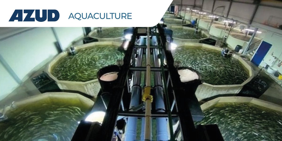 AZUDWater's tweet photo. #Aquaculture began to be practiced in the 1950s, but has experienced an exponential growth until today. 🐟
At #AZUD we provide solutions that maximize the profitability of the processes, ensuring a minimum environmental impact and uninterrupted operation.
#AZUDIsMuchMore #AZUD https://t.co/SyRlwDj7hp