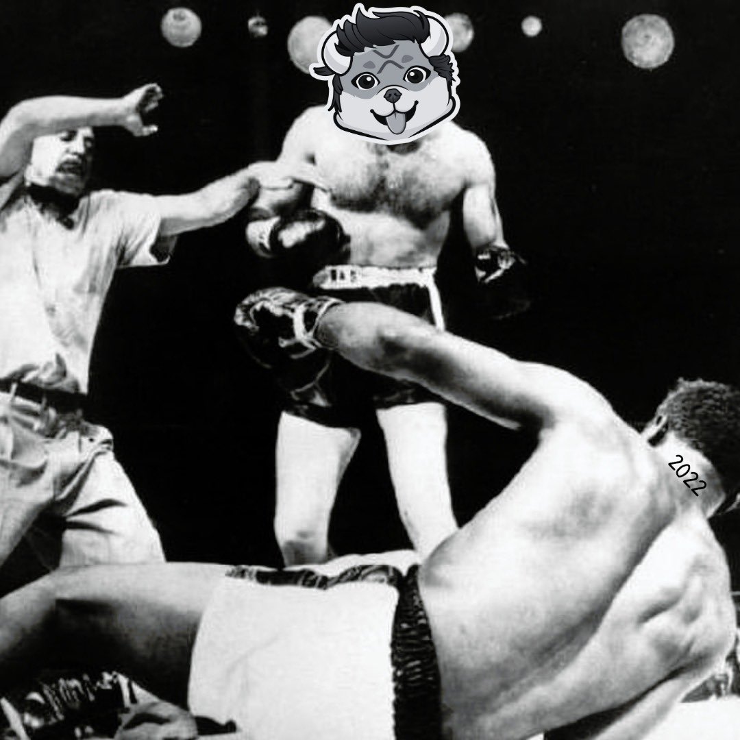 Bully Bulldoge - #BBULLDOGE tweet media