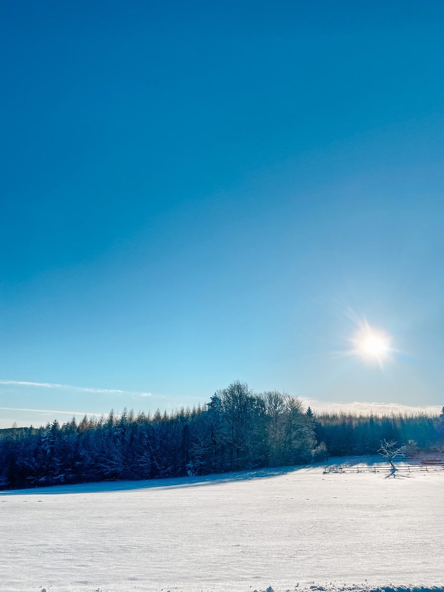 mint_n_melon's tweet photo. So schen ❄️☀️ https://t.co/Uxo5kddU5D