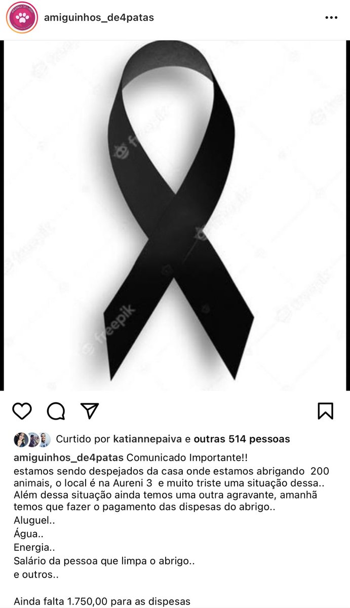 chicodocerrado's tweet photo. Gnt amiguinhos de 4 patas .. tá precisando da nossa ajuda .. qualquer valor é bem vindo. 

Pix CNPJ: 36.923.497/0001-67 
RT DA AMIZADE pra ajudar os dogs.. https://t.co/aBA6FX5XXR