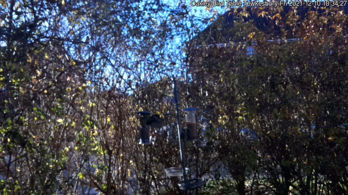 Recommendations for shooting into sun with <a href="/Raspberry_Pi/">Raspberry Pi</a> webcam? Switched from v1 5Mpix to v2 8Mpix camera AND lower sun (winter), image is poor. Currently using raspistill parameters -ex antishake -ifx denoise -sh 25 -sa 12 -mm spot -ss 350 -co 12 aoakley.com/webcam/