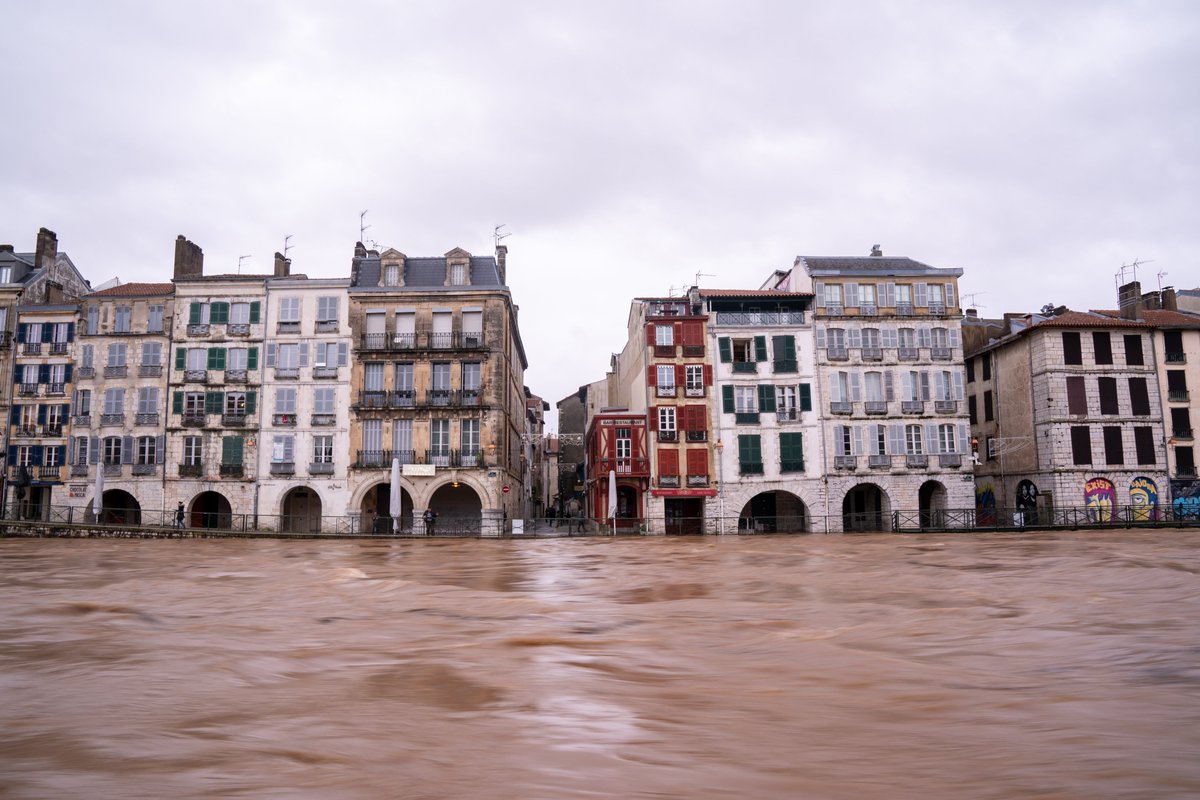 PierreAlex tweet media