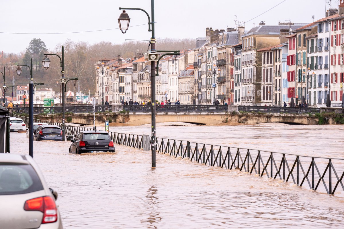 PierreAlex tweet media