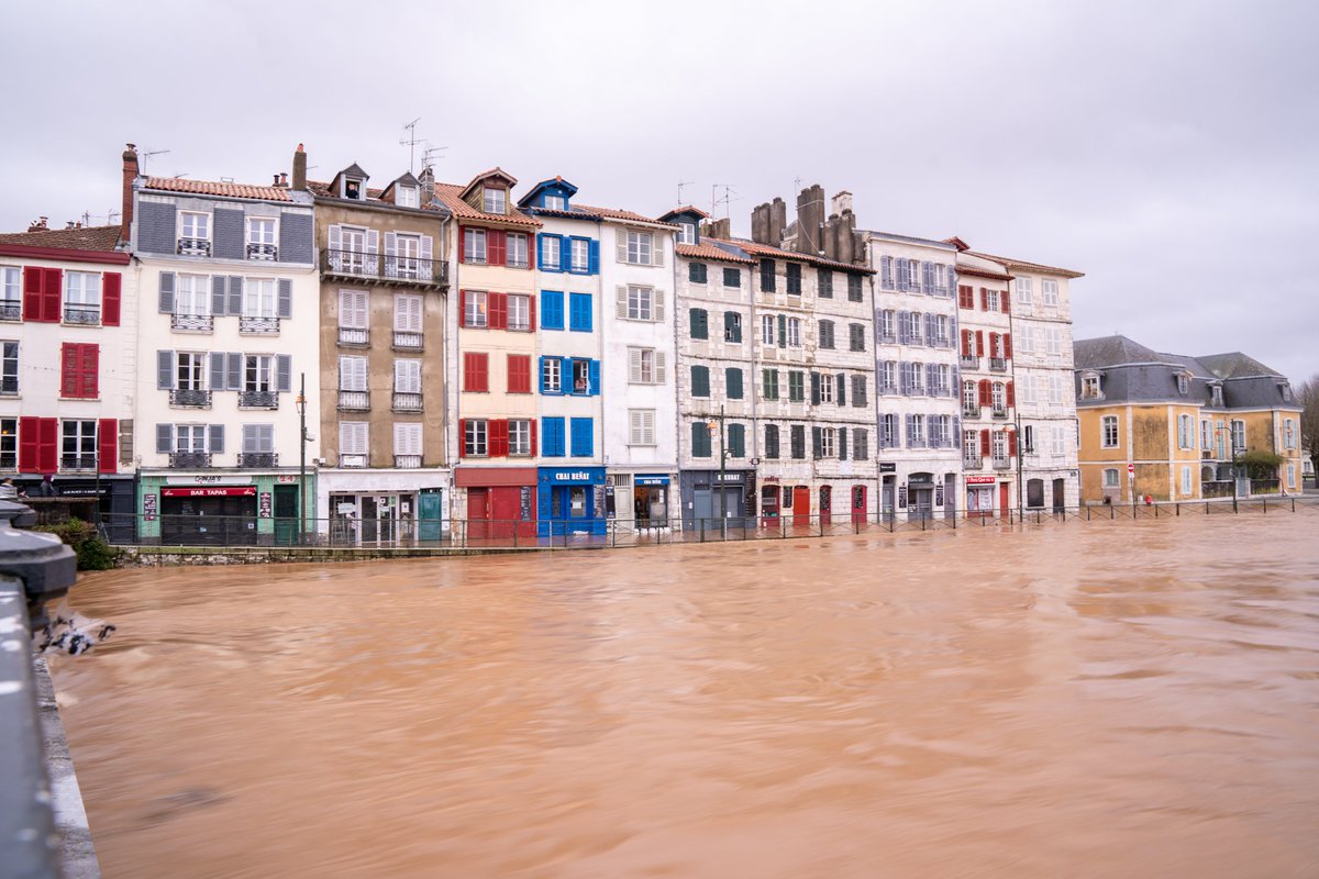 PierreAlex tweet media