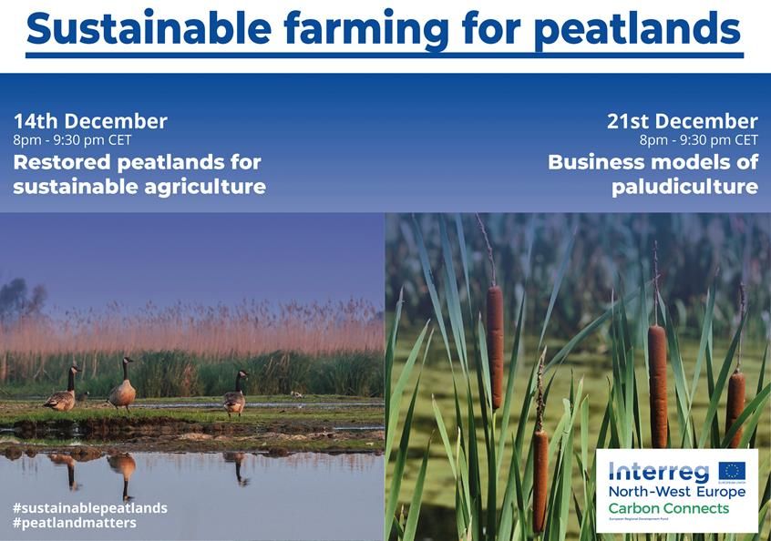 Minellieleonora's tweet photo. 🗣️Join the conversation on Tue 14 Dec and Tue 21 Dec (8-9.30 CET)
✏️Register here: https://t.co/W6YBqNB2om

#PeatlandsMatter #ClimateAction #ForNature 
@CiscaDevereux @DiannaKopansky @MaudieFraser https://t.co/HwScI5IY3T
