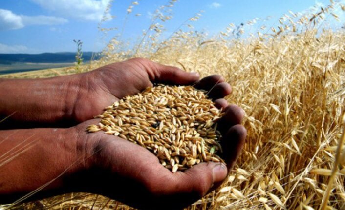 draliseker's tweet photo. Türkiye’yi tohumdan gübreye, samandan buğdaya, mısırdan nohuta ithal gıdaya mahkum eden; tarımdan hayvancılığa üreticiyi iflasa sürükleyen #TarımBakanıİstifa https://t.co/Xvz3NVp3Si