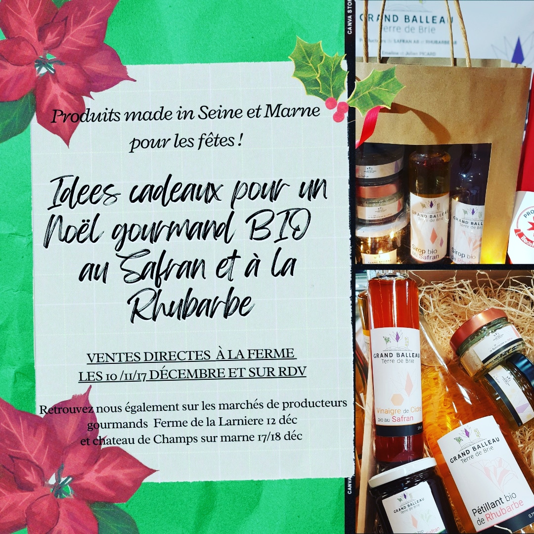 Vivez un Noël en GRAND en Seine-et-Marne : les producteurs et agriculteurs seine-et-marnais vous ouvrent leurs portes !
Le noble safran, la délicieuse rhubarbe bio dans toutes les déclinaisons à retrouver chez Emeline et Julien de La Ferme du Grand Balleau pour un Noël GOURMAND !