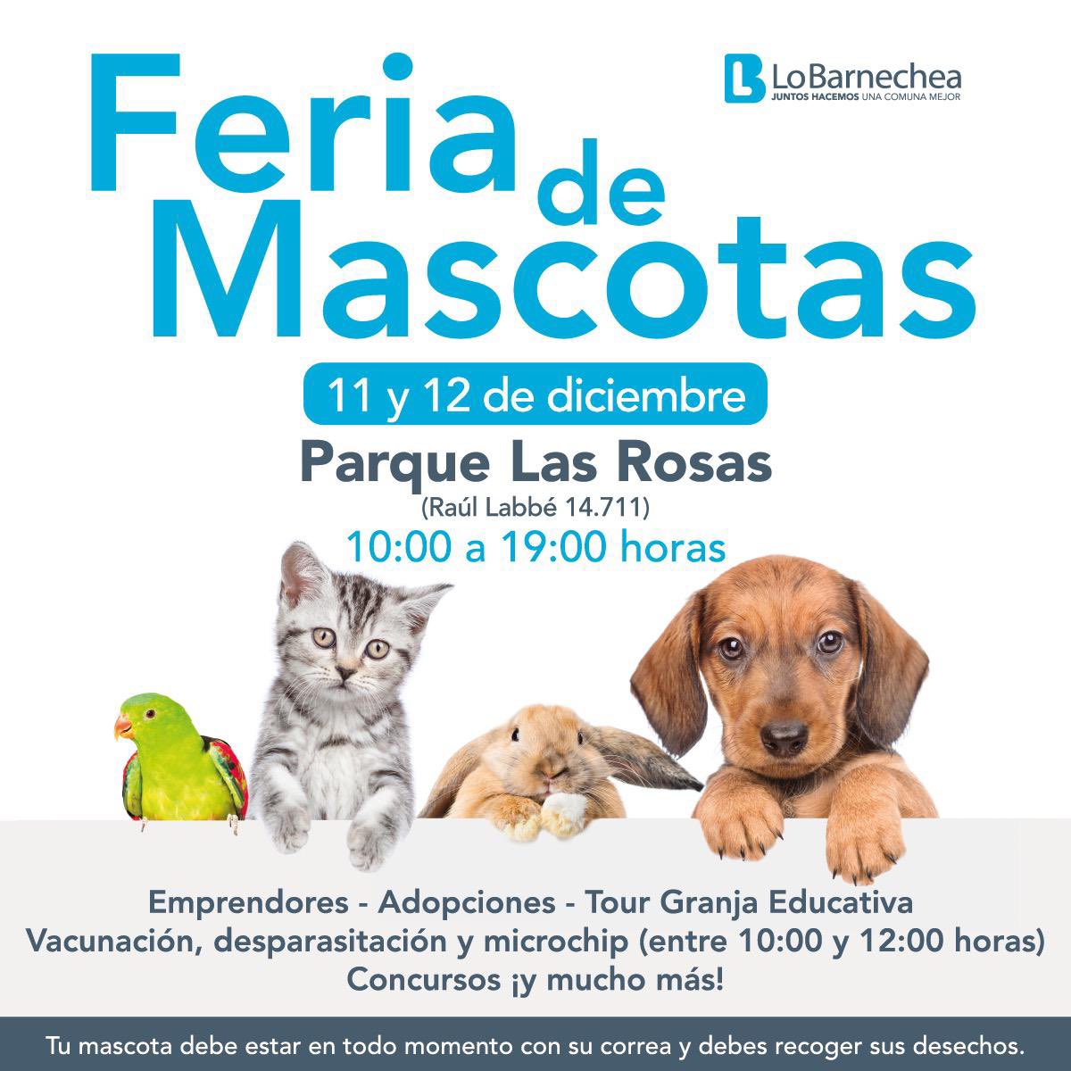 fundCeba's tweet photo. Este fin de semana en el parque las Rosas 
Gran encuentro y feria de lo Barnechea 
Habrán muchos bellos animales de familia en adopción https://t.co/V1WLDTaRyR