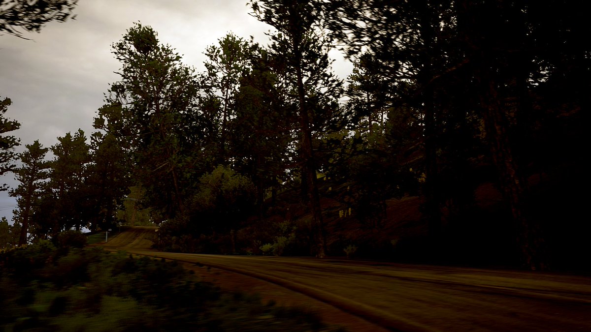 SStanced's tweet photo. ✨ - THE FOREST - ✨
#RainbowStanced
#ForzaHorizon5 #ForzaHorizon5VIP #FH5
#PhotoMode #Horizon5 #Mexico #XboxShare
#VirtualPhotography #VGPUnite #ForzaHorizon4 https://t.co/eQh6bghRNv