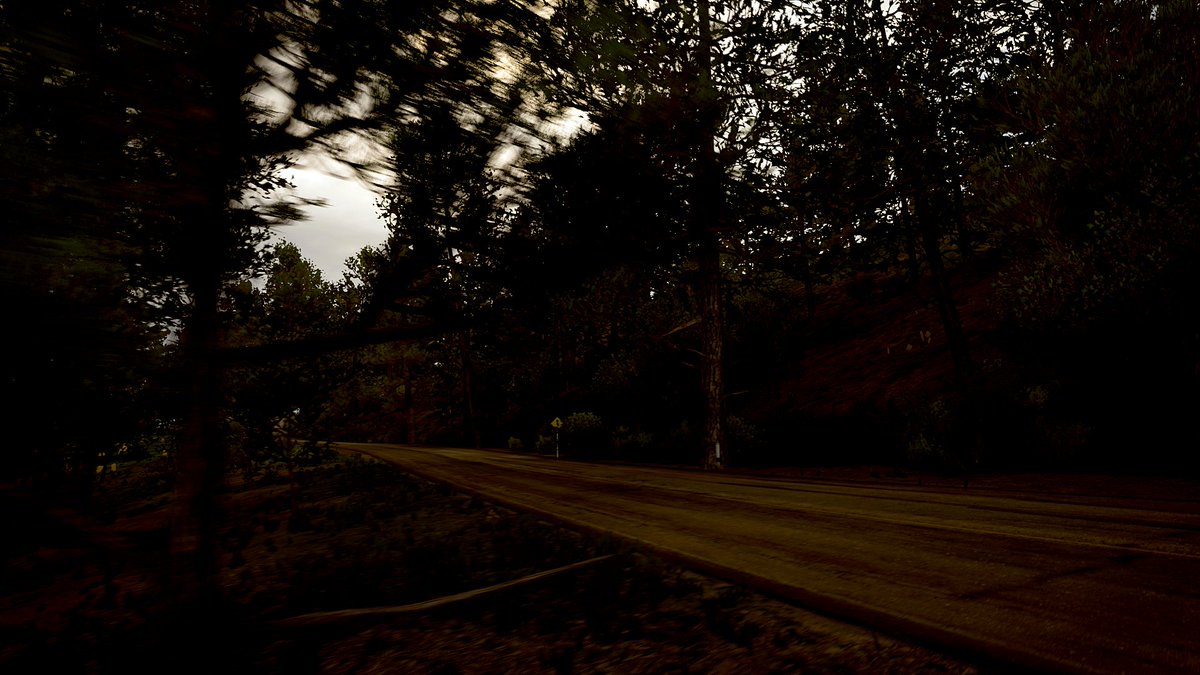 SStanced's tweet photo. ✨ - THE FOREST - ✨
#RainbowStanced
#ForzaHorizon5 #ForzaHorizon5VIP #FH5
#PhotoMode #Horizon5 #Mexico #XboxShare
#VirtualPhotography #VGPUnite #ForzaHorizon4 https://t.co/eQh6bghRNv