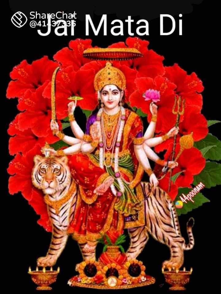 RAJSINH PARMAR tweet media