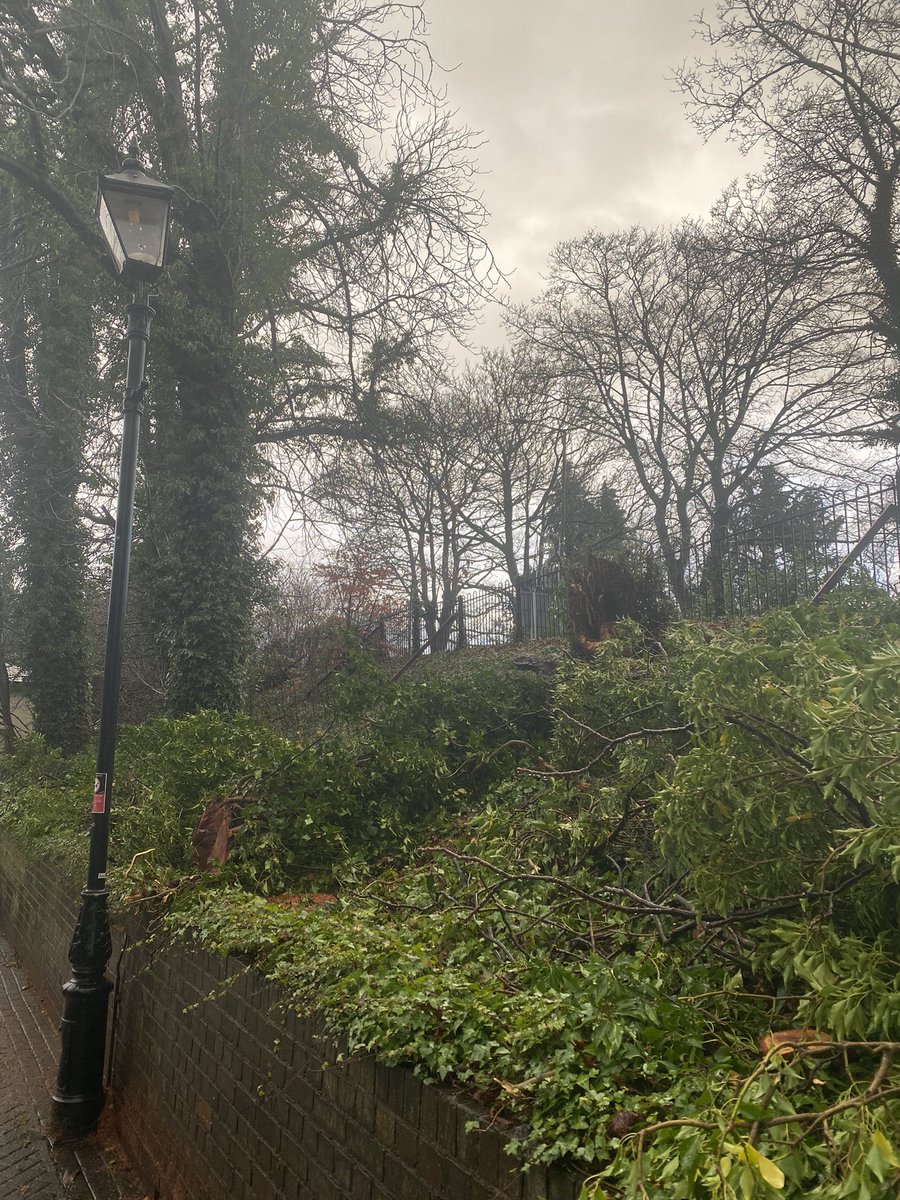 StationEdge's tweet photo. @ISS__UK @northernassist @CommunityRail  @C2MCRP Timber! Another tree down following the lashing storms in Alderley Edge. Thanks to the Veg team for speedy resolution.#StormBarra #alderleyedge https://t.co/ja305naVII