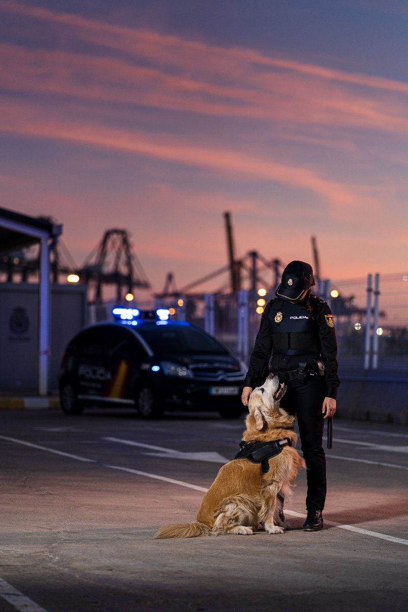 Europol's tweet photo. 📣 Announcing the winners of our #Capture21 📷 competition!
Categories:
🔹 Making Europe Safer: 🇪🇸 @policia's Antonio José Pedrosa Padial 🐶
🔸 Re-opening Europe: 🇮🇹 @poliziadistato's Valerio Giannetti 🎺
Details ➡️ https://t.co/wzkQgXmaxv https://t.co/gPJBihcrDm