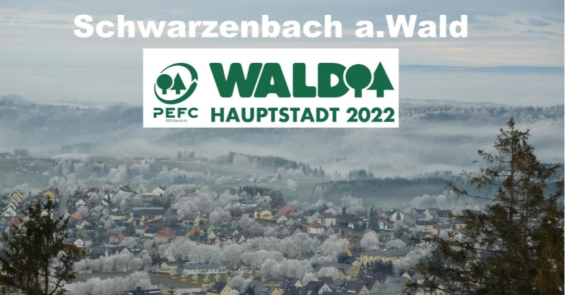 BaySF_Direkt's tweet photo. Unser Partner @PEFCDeutschland ernennt 
Schwarzenbach am Wald zur Waldhauptstadt 2022.
Ein Jahr lang macht die Stadt im Kreis Hof auf eine nachhaltige 🌲🌳Waldbewirtschaftung aufmerksam.
👉https://t.co/PHDy03Suv2👈

Nachhaltige Forstwirtschaft ist genau unser Ding!👍
#BaySF https://t.co/uBKT2d6b5O