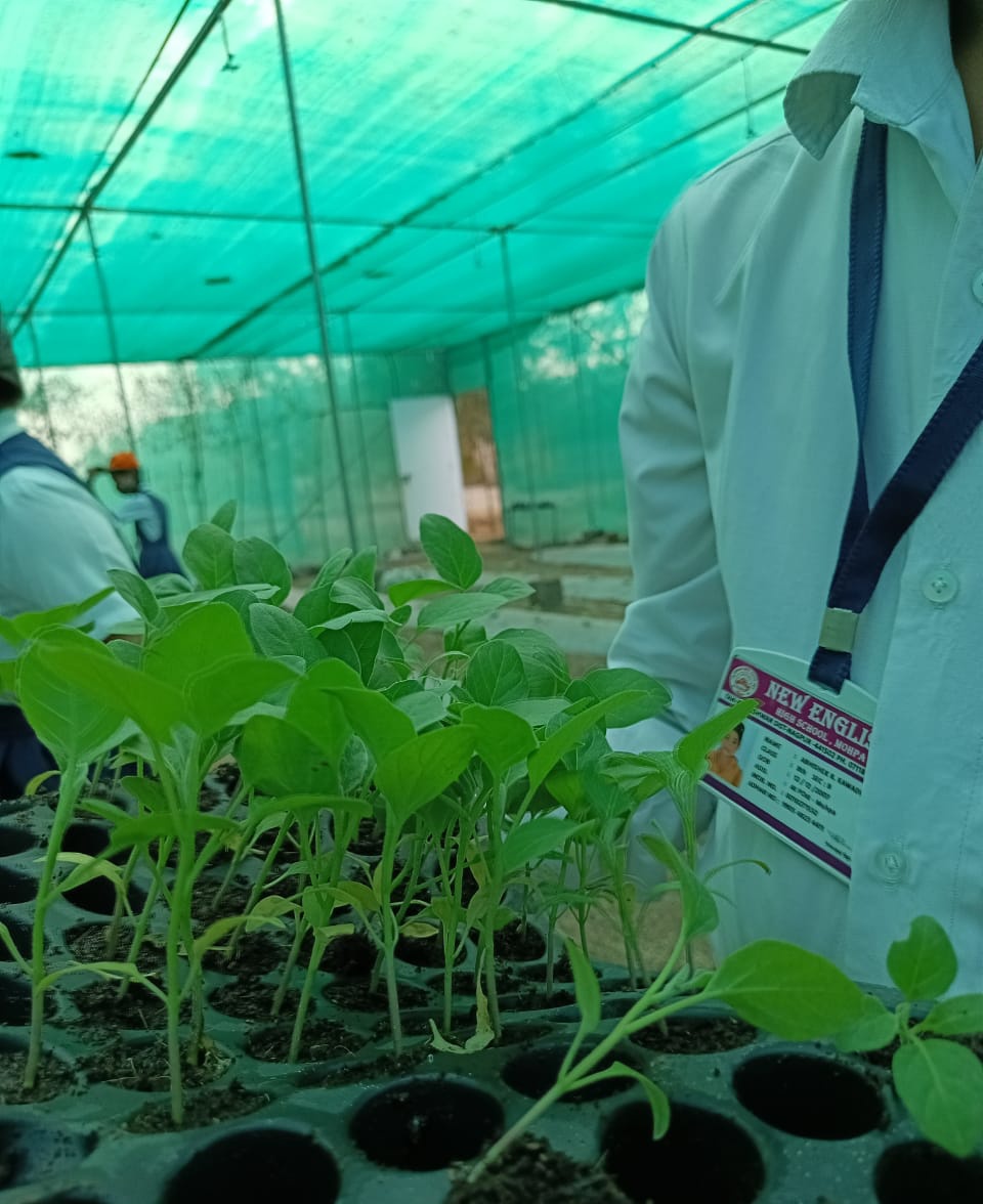 FALIAgriculture's tweet photo. Youth interest in #agriculture and #agribusiness can definitely help in strengthening the rural economy.

New English High School, #Mohapa, #Nagpur students planted brinjal 🍆 today. https://t.co/tf0R7ZAWA9