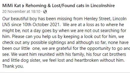 TillyFlop1's tweet image. Our beautiful boy has been missing from Henley Street, Lincoln LN5 since 10th October 2021.
