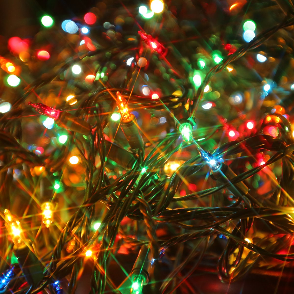 Can Christmas tree lights cause a fire?

Our friends and mentors at the FIA think so.
bit.ly/3xNIXH3
#firealarm #firesafety #christmasfire