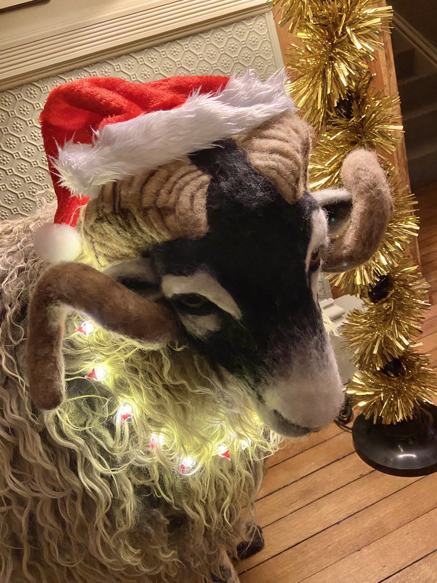 thehouseathawes's tweet photo. It’s our last weekend of opening before Christmas, time for a quick reflection on our first year. Lots of achievements but one stands out, it’s been a very very busy old year and

* 100% of our bookings have been direct

#proudandhappy #bookdirect @BandBassoc @Welcome2Yorks https://t.co/ODae2JA0Z7