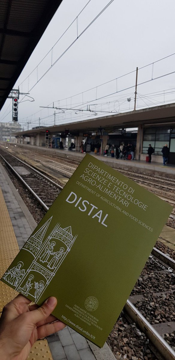 Marco Signorini tweet media