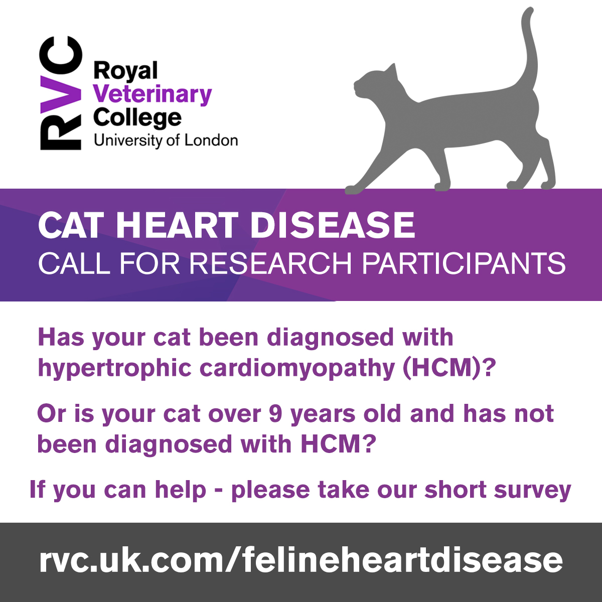 RoyalVetCollege's tweet photo. 🐈 We need help from UK cat owners
♥️ Does your cat have #felinehypertrophiccardiomyopathy (#felineHCM) ? OR is your cat + 9️⃣ years and free from HCM ? ➡️ Please complete our short #catswithHCM survey https://t.co/PSXrI86N7K https://t.co/rcAKsD8wrC
