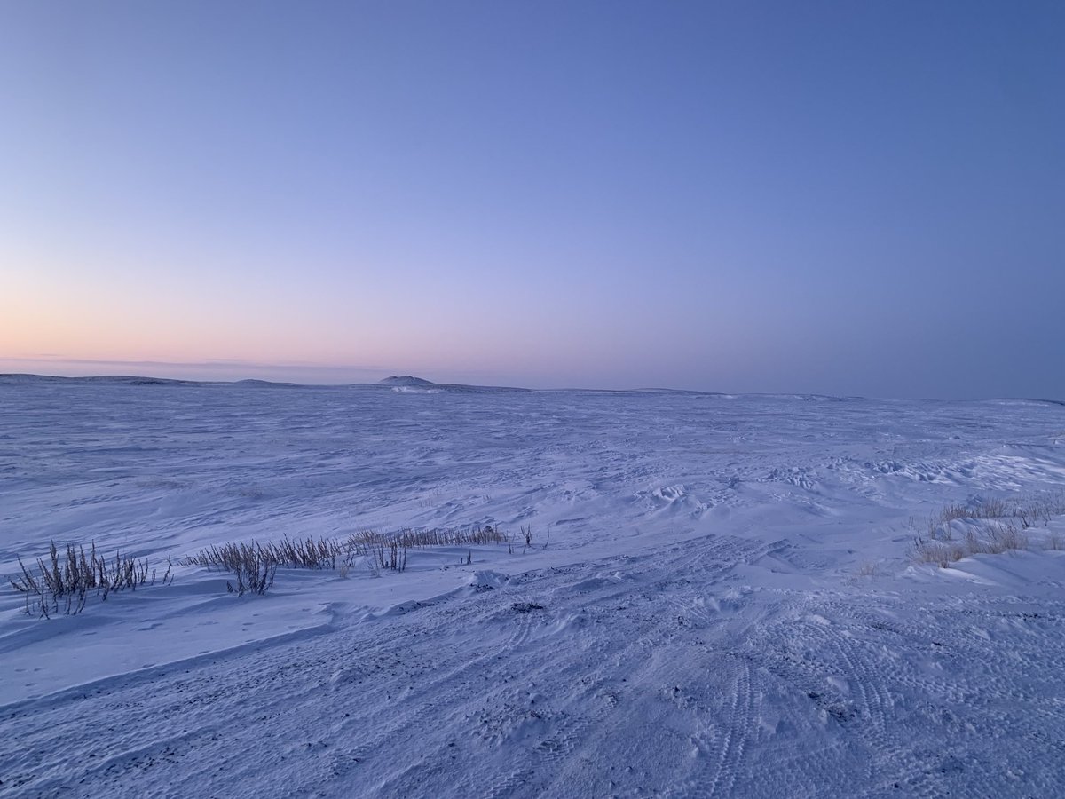 Jesterboy11's tweet photo. Quyanainni. Thank you  #tuktoyaktuk. An amazing community. Rich in history and culture.  An honour to have spent time here. #nwt #acrtic https://t.co/dtKhjcT83q