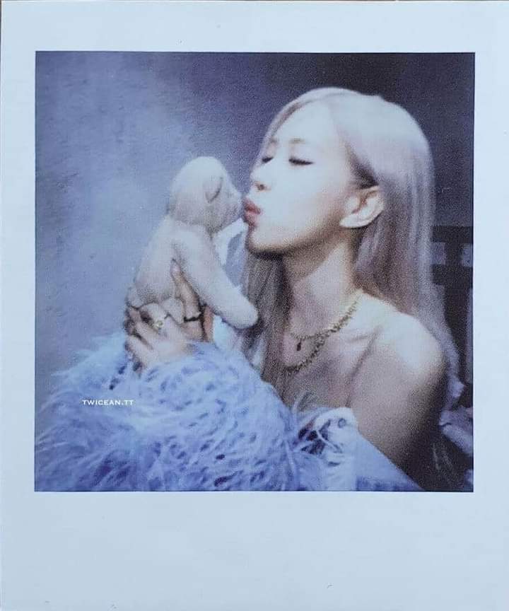 Vote for Rosé 
OUR CHOICE IS ROSÉ #MAMAVOTE #rosé