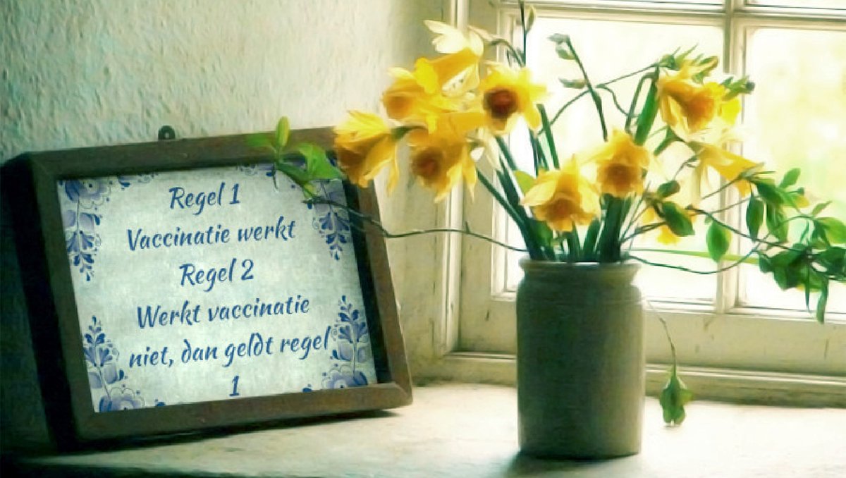Een nieuwe tegeltjeswijsheid in Nederland.
Terwijl als je naar de data internationaal kijkt is het beeld van voor- en nadeel van vaccinatie een stuk genuanceerder.
mdhnd.nl/tegel