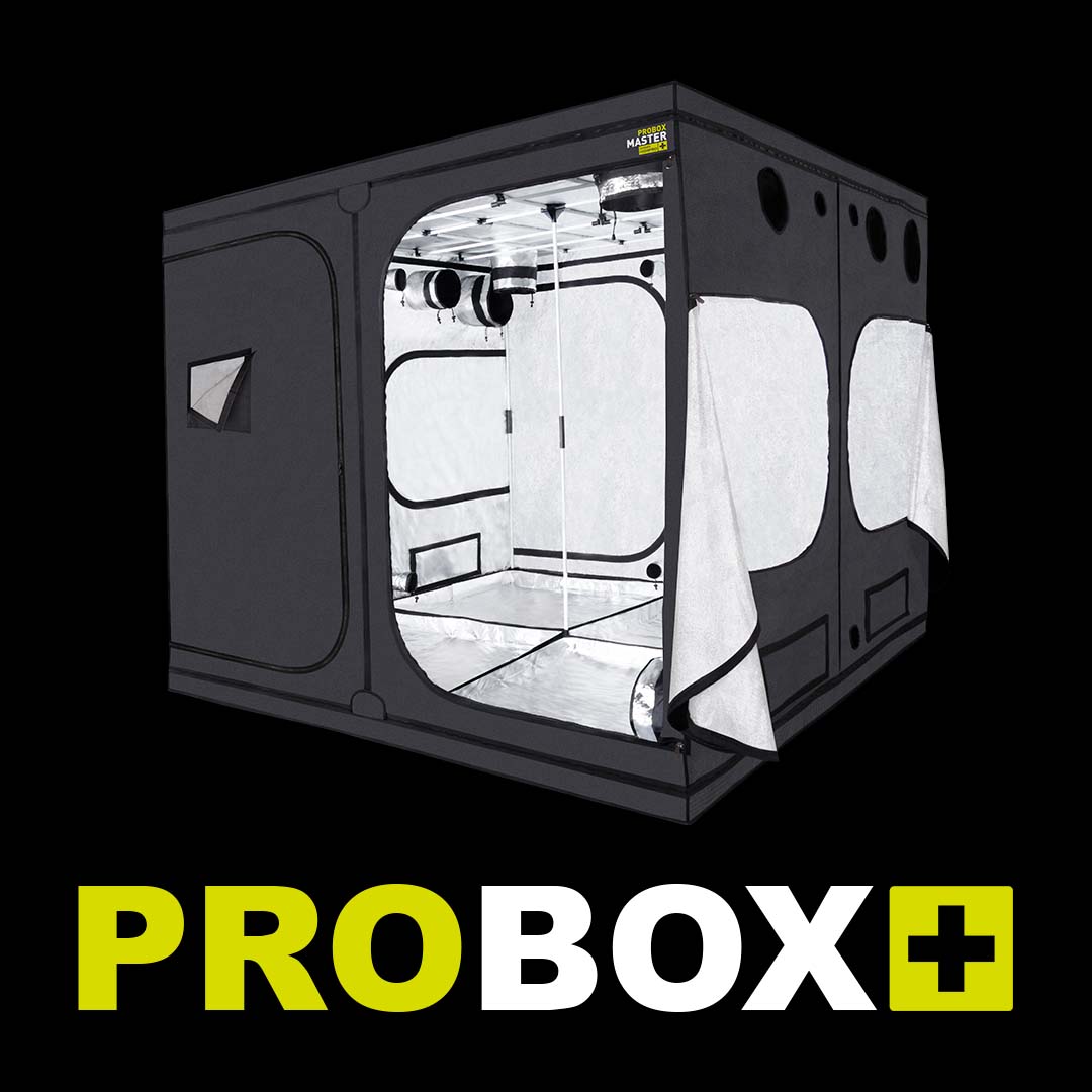 GARDENHIGHPRO's tweet photo. #PROBOXMASTER

La línea MASTER de PROBOX es una herramienta que brinda infinidad de ventajas y facilidades para lograr cosechas prósperas 🥳, productivas 🤑 y muy abundantes 🤗 ya seas cultivador experto o principiante.

CULTIVA #INDOOR!

#GARDENHIGHPRO #BORNTOBEAGROWER #growtent https://t.co/g5UvrZUpEe