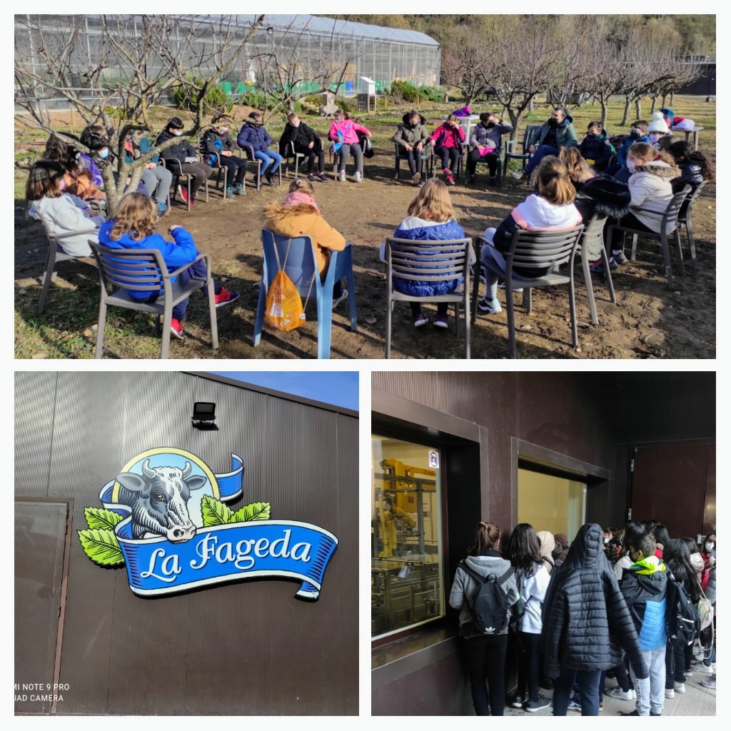Avui hem visitat <a href="/fageda/">La Fageda</a> amb l'<a href="/ContesTiana/">Escola Tiana</a> i l'#escolaGassóiVidal com a part del programa #CUEME de la <a href="/diba/">Diputació de Barcelona</a> Una experiència en format #cooperatiu <a href="/AjRipollet/">Ajuntament Ripollet</a> #ESSRipollet #ÀDE