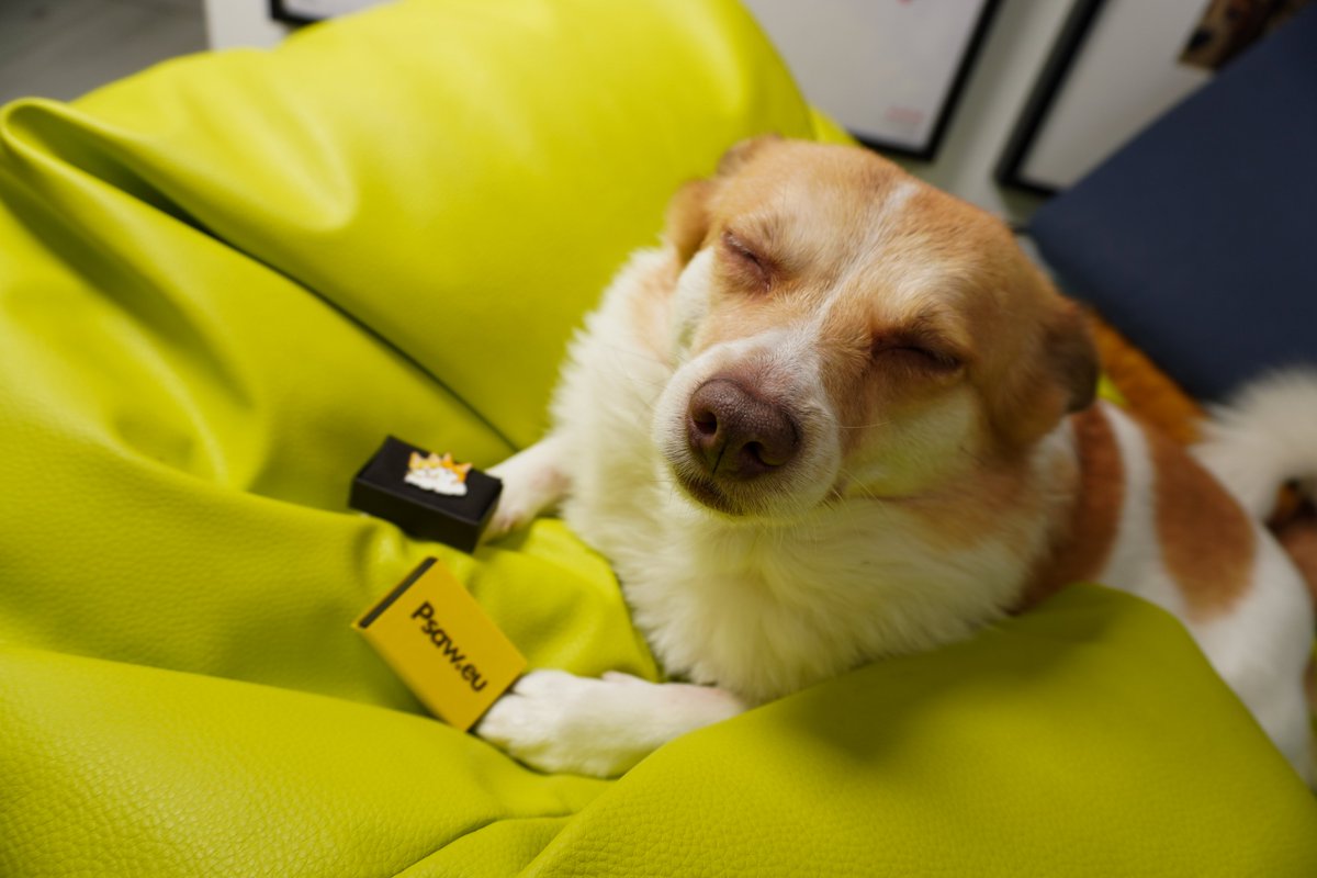 Paweł Płocharski🍕 tweet media