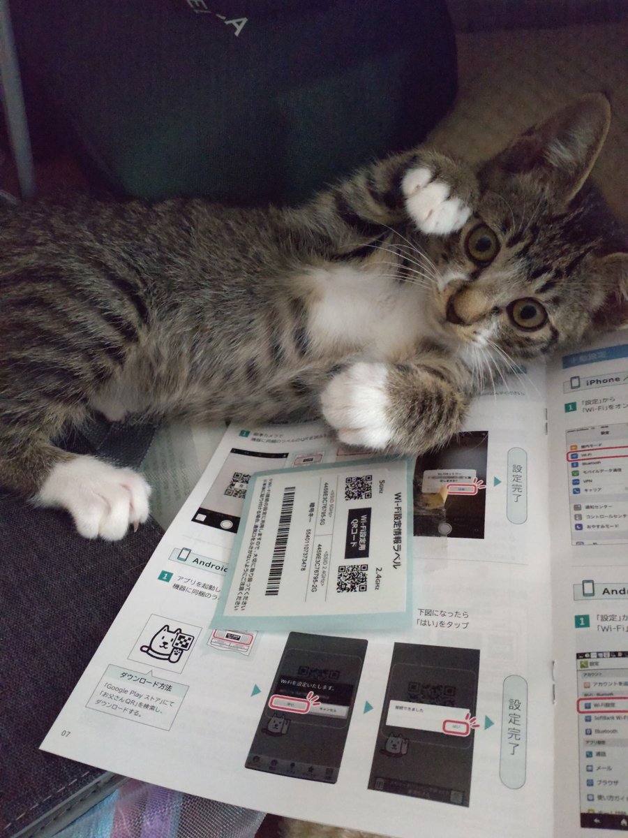 勃起不全の原因英国nhs