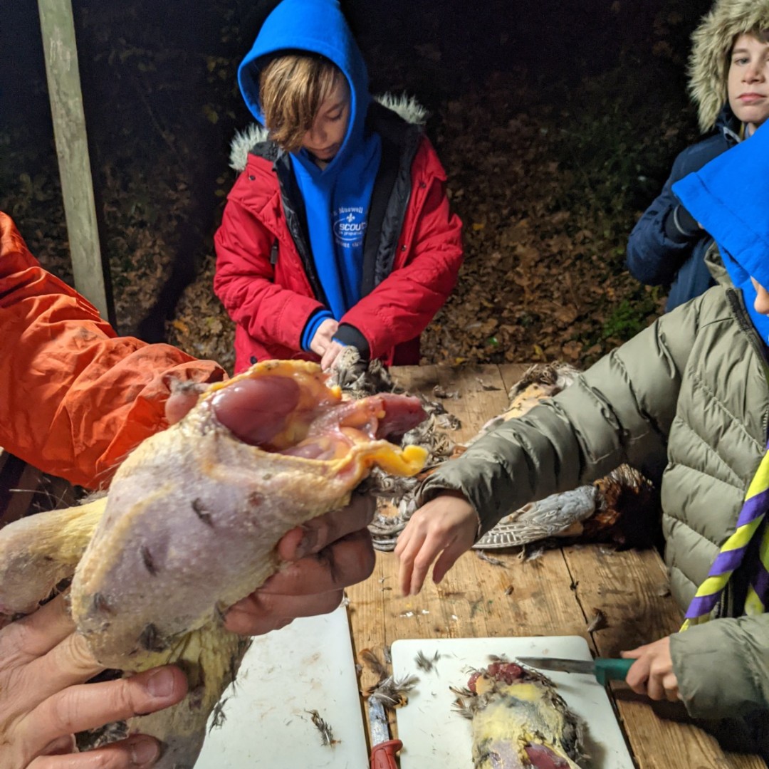9th Muswell Hill Scout Group tweet media
