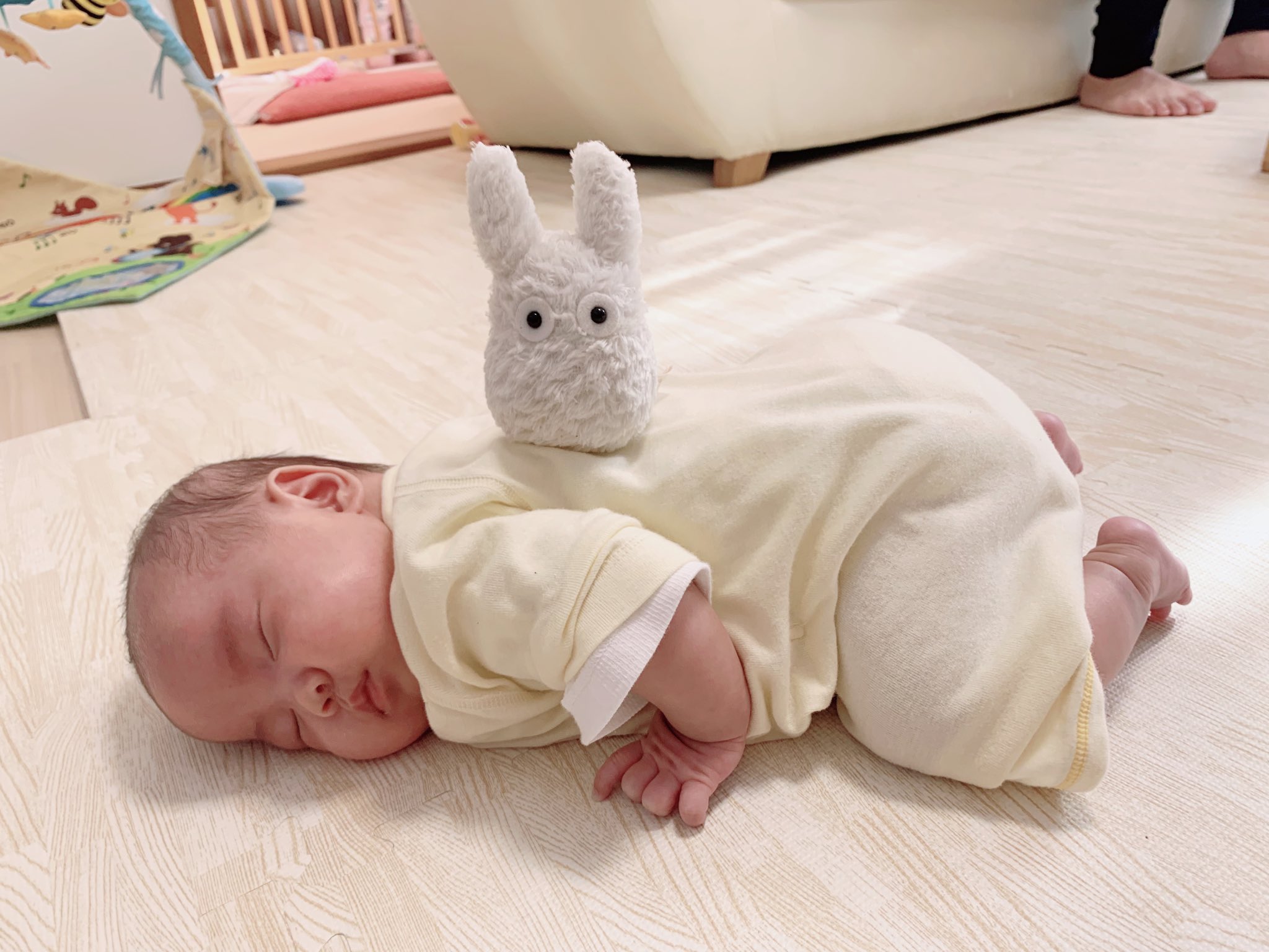 赤ちゃんとお兄ちゃんのほっこり画像 お兄ちゃんの優しさがかわいい 話題の画像プラス
